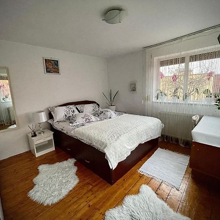 Ada-Ini House Villa Craiova Eksteriør billede