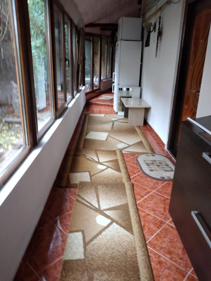 Ada-Ini House Villa Craiova Eksteriør billede
